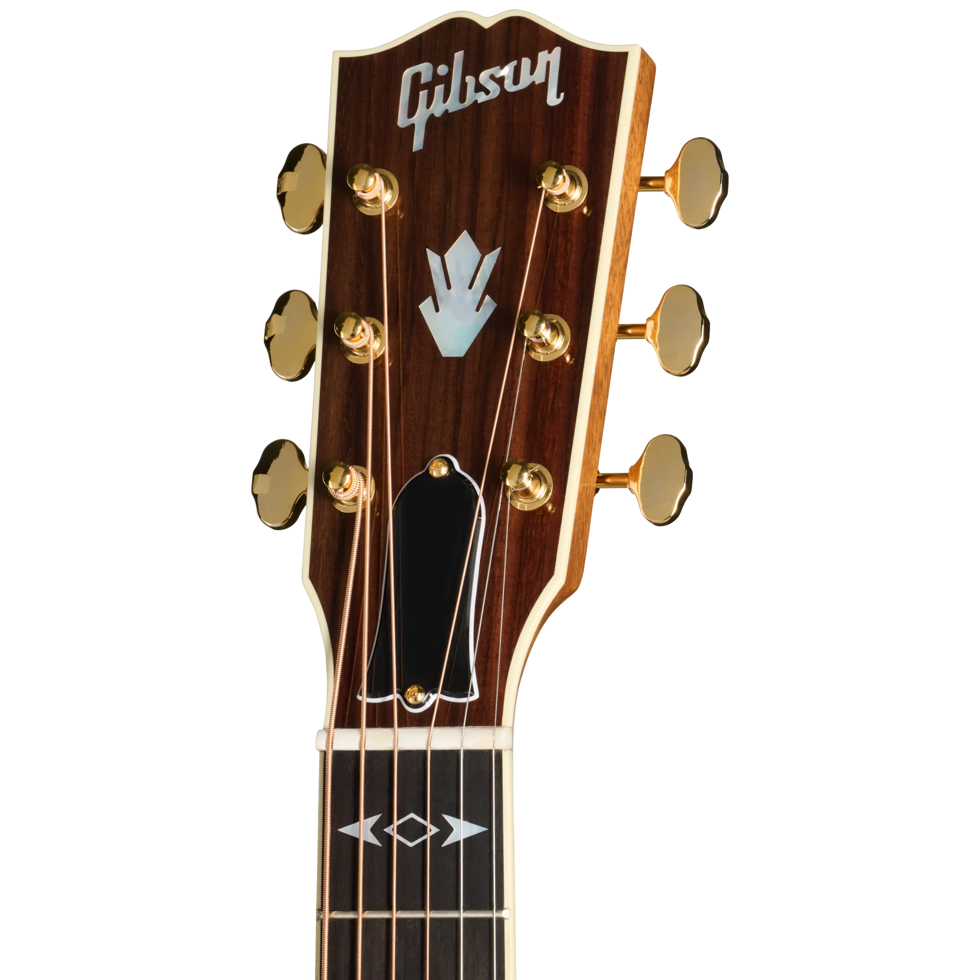 Songwriter Recording Artist Rosewood Burst